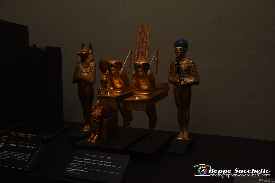 VBS_5200 - Tutankhamon - Viaggio verso l'eternità.jpg